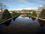 郁金香花园