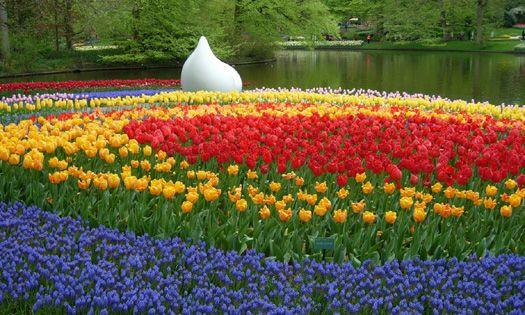 荷兰赏花之旅-巴黎线