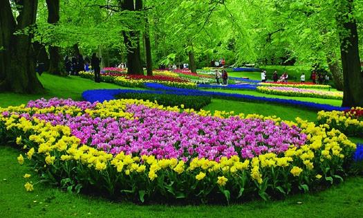 荷兰赏花-科腾、梅泽堡3日线