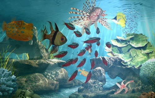 水族馆