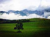 沿途风光（3）