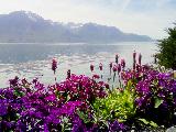 湖光山色瑞士四天精选