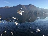 Lugano, Ticino, Switzerland