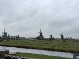 荷兰赏花之旅-西线