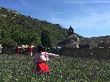 普罗旺斯蔚蓝海岸梦幻之旅