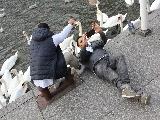 斯德哥尔摩