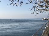 沃韦