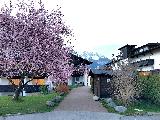 因斯布鲁克