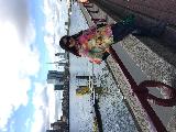 荷兰赏花之旅-南线