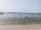 瑞士南法蔚蓝海岸之旅