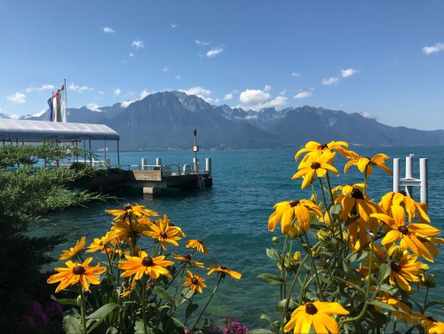 【奇峰湖泊，亲近自然】德瑞双国，金色快车之旅