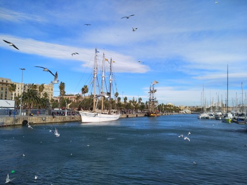 巴塞南法循环线