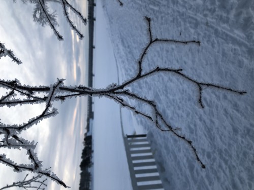 Saariselän