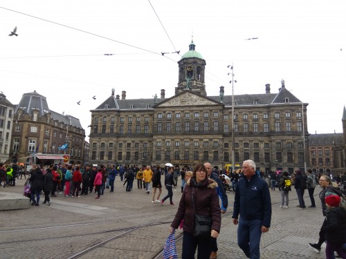 荷兰赏花之旅-西线