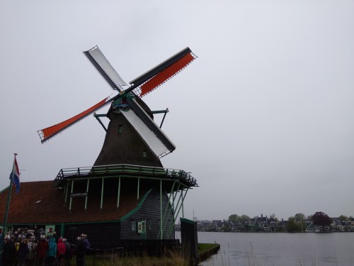 荷兰赏花之旅-西线