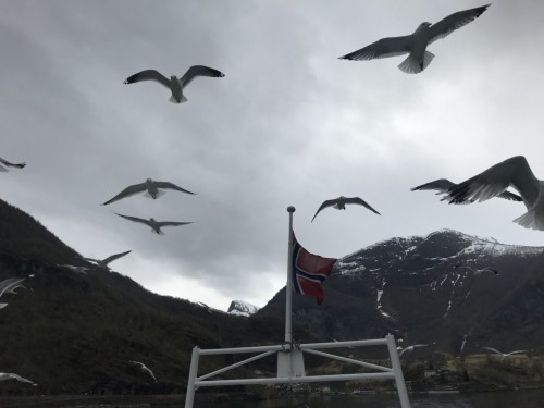 北欧峡湾之旅
