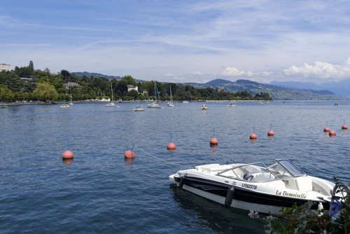 swiss