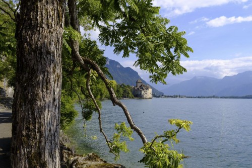 swiss