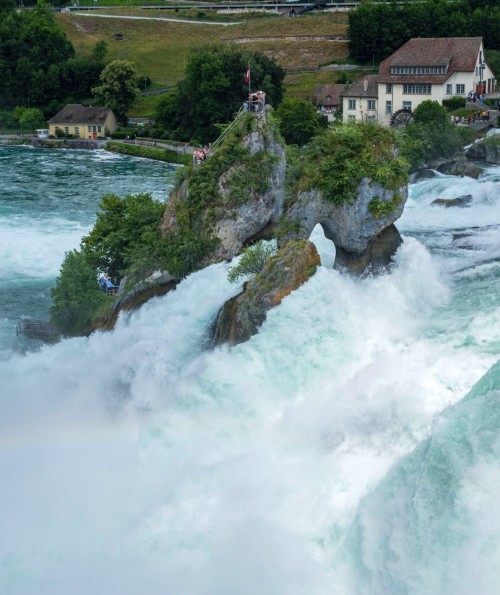 swiss