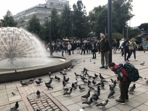北欧之珠(北欧旅游)