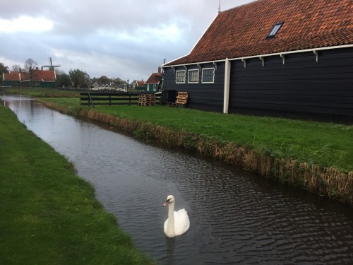 荷兰、法国、卢森堡