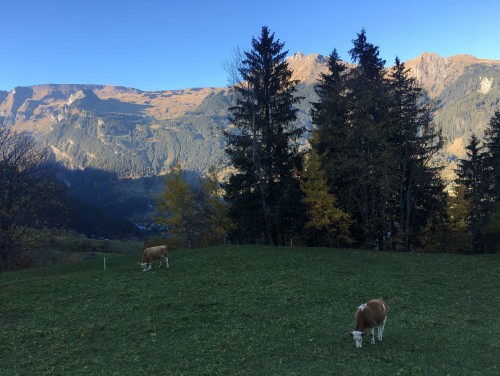湖光山色瑞士四天精选