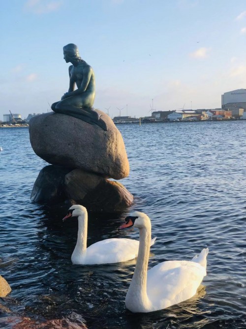 波罗的海沿岸