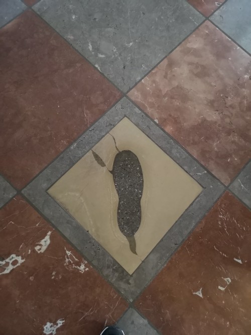 慕尼黑