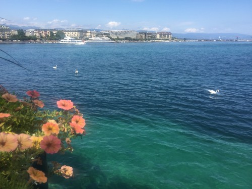 法国嘎纳海岸，日内瓦湖，西庸城堡，少女峰