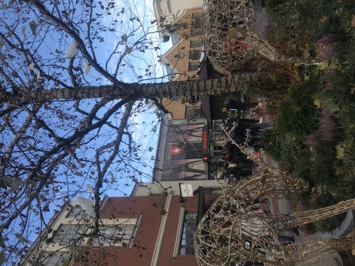 Ingolstadt Village 购物之旅