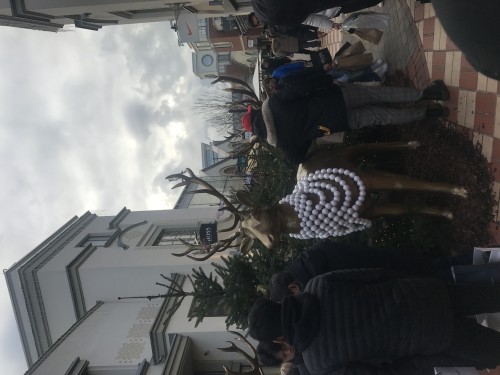 Ingolstadt Village 购物之旅