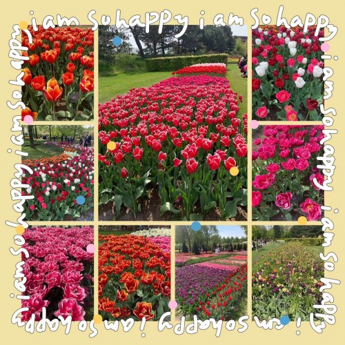 Keukenhof
