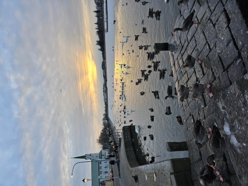 冰岛