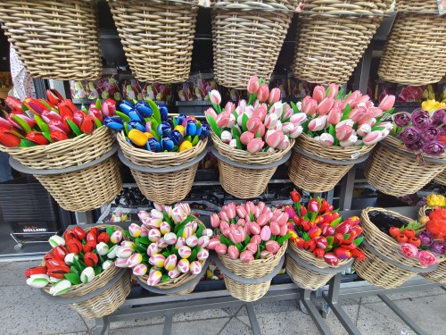 闻香赏花识荷兰 - 荷兰三日郁金香赏花团（巴黎往返）