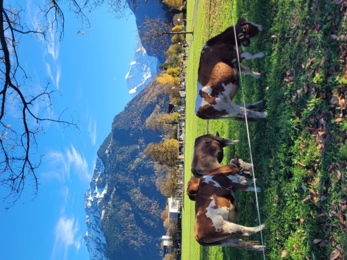 【经典热卖】爱的迫降同款•湖光山色瑞士四天精选