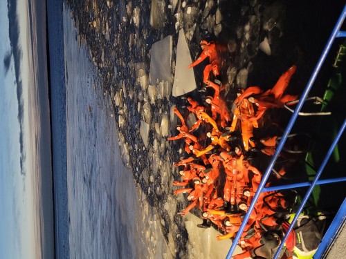 7日纵贯拉普兰极光破冰之旅•芬兰圣诞老人村|破冰船|帝王蟹之旅|狗拉雪橇|雪地摩托追极光|极地VR列