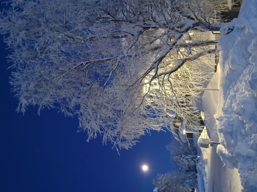 7日纵贯拉普兰极光破冰之旅•芬兰圣诞老人村|破冰船|帝王蟹之旅|狗拉雪橇|雪地摩托追极光|极地VR列