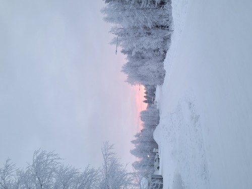 7日纵贯拉普兰极光破冰之旅•芬兰圣诞老人村|破冰船|帝王蟹之旅|狗拉雪橇|雪地摩托追极光|极地VR列