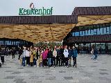 KEUKENHOF 荷兰郁金香花园