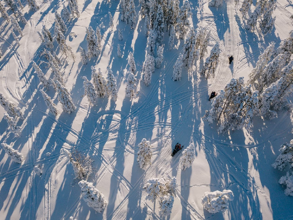 芬兰罗瓦涅米拉普兰雪地摩托+雪橇双重探险一日游【英文团.4小时】