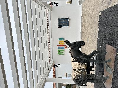 米哈斯