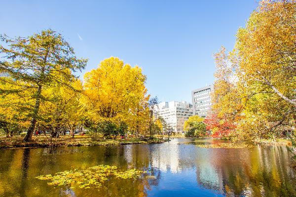 【纵贯北海道】日本北海道南北全景轻奢双温泉6日游(12-2月 周二札幌新千岁机场出)