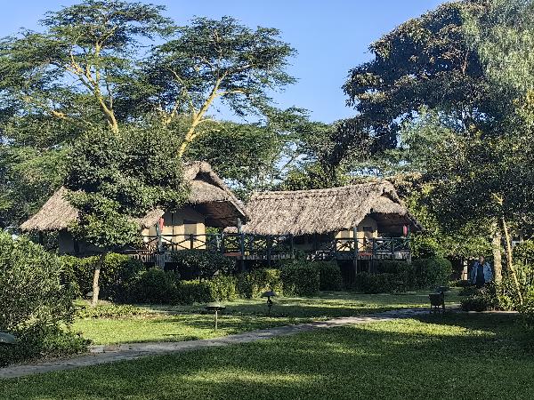 肯尼亚经典7日野生动物巡礼（英文团）