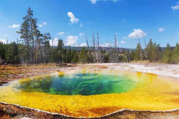 【买二送二】美国西部5日游：大提顿国家公园+黄石国家公园（盐湖城往返）