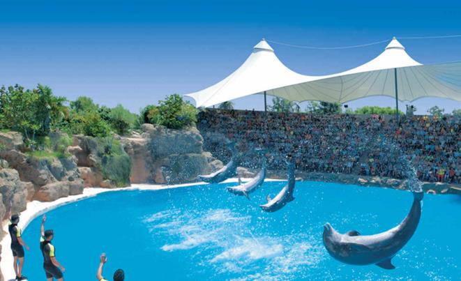 特内里费岛Loro水族博物馆