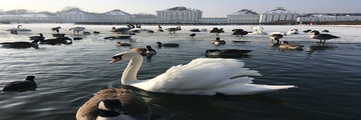 宁芬堡宫简介-宁芬堡宫图片-宁芬堡宫游玩指南-【德国景点攻略】