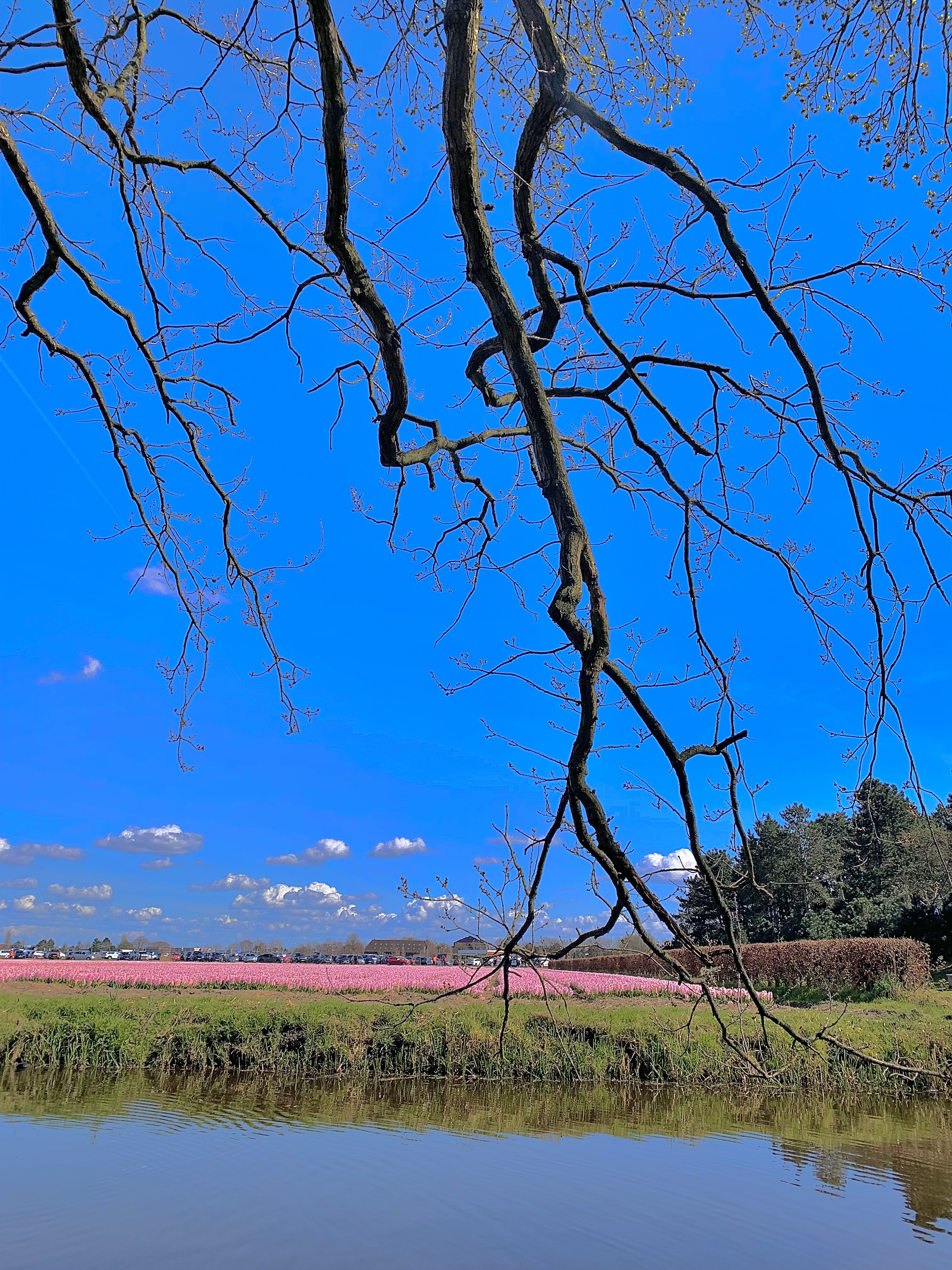 杜塞尔多夫旅行指南